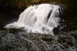 Photo by Kacey at Kcshots.com